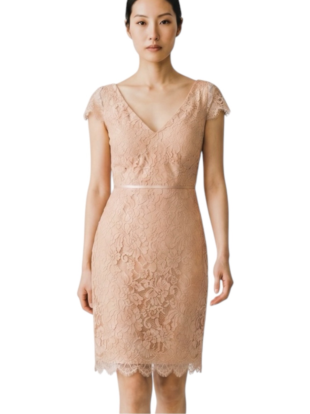 Jenny Yoo Sheer Blush Gold Lace V-Neck Party Event Sheath Dress Nwt Size 10